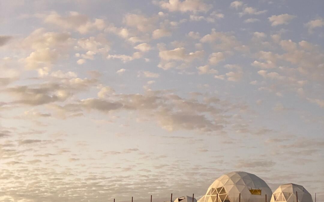 ISLA – Bienal Saco